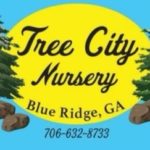 Tree City Nursery