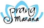 our logo our logo