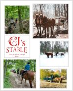 CJ’s Stable CJ’s Stable