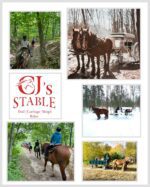 CJ’s Stable CJ’s Stable