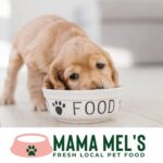 Mama Mel’s Pet Food Mama Mel’s Pet Food